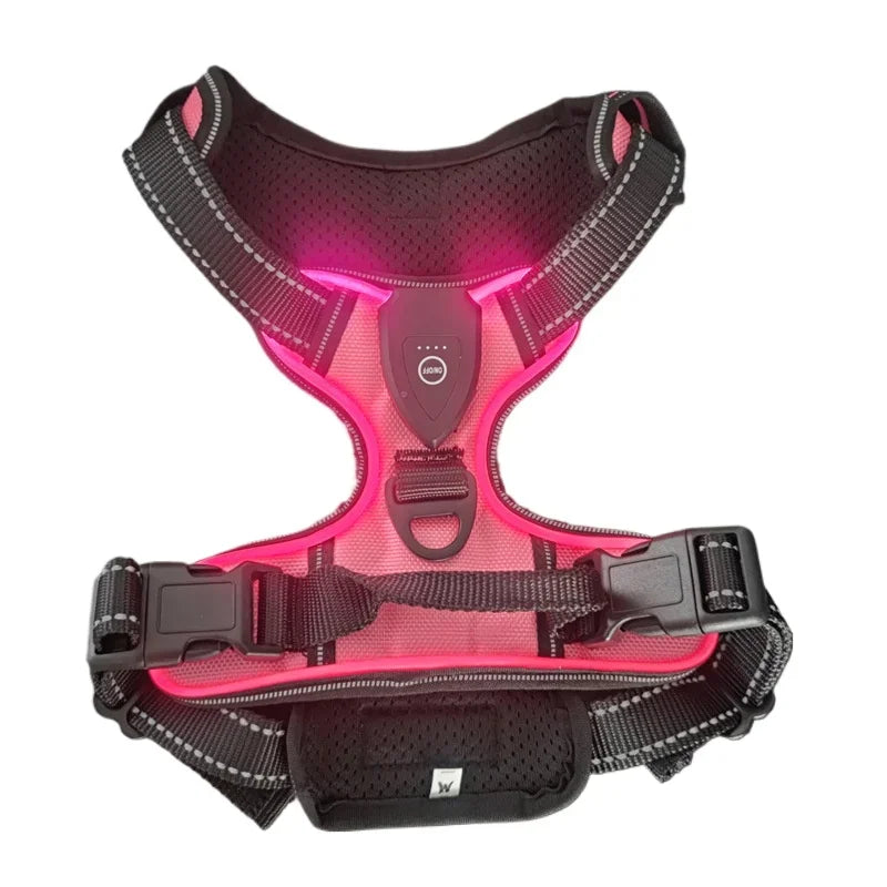 Harnais LED Sécurité Nuit pour Chien — Rechargeable, Anti-Traction, 3 Modes