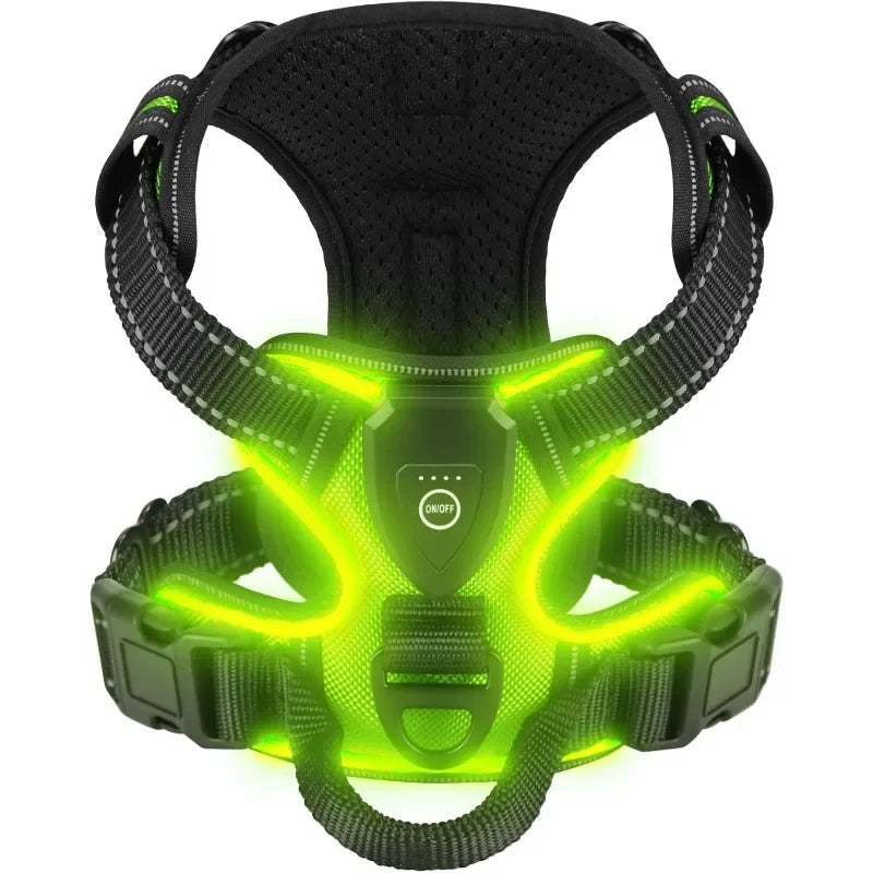 Harnais LED Sécurité Nuit pour Chien — Rechargeable, Anti-Traction, 3 Modes